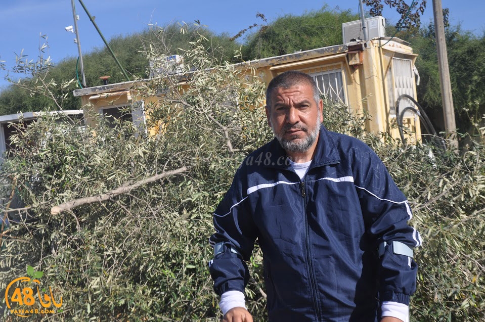 tasohamlalanjna (18).jpg